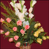 Magical Spell - Click here to View more details about this Product
